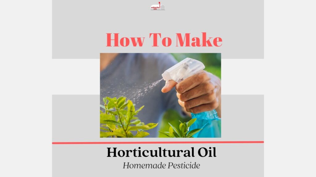 How to make Horticultural Oil