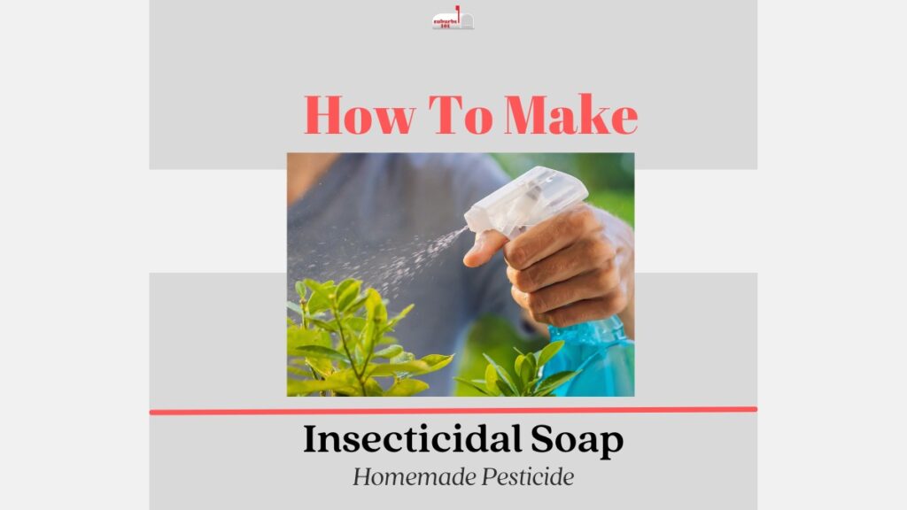 How to make Insecticidal soap