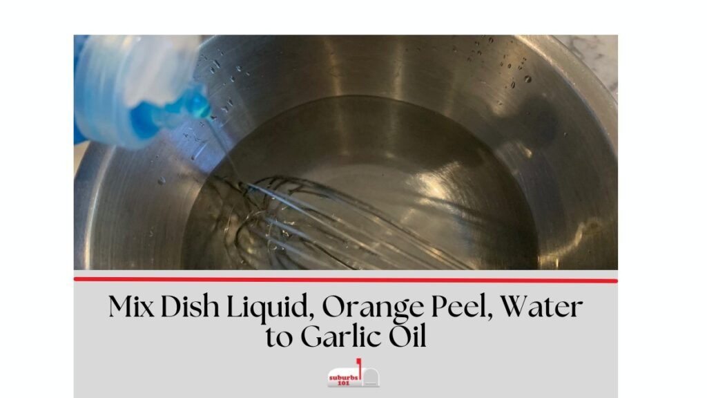 How to Make Garlic Oil pesticide