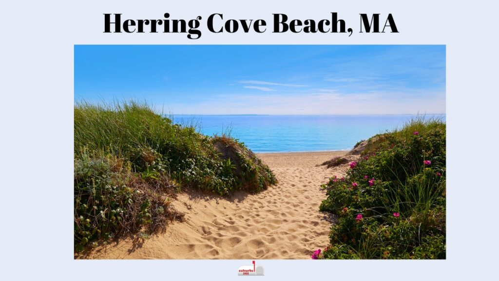 Herring Cove Beach MA