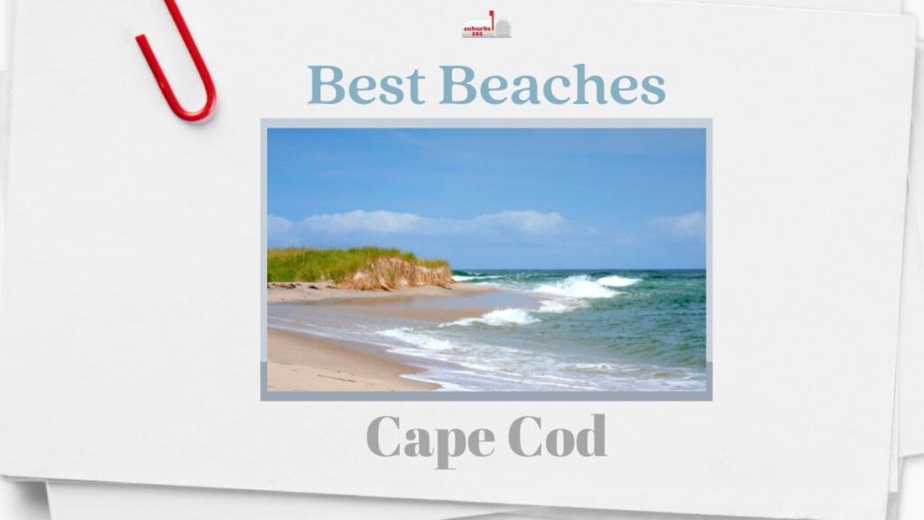 Best Beaches Cape Cod