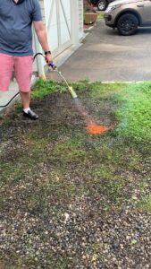 Using propane torch to kill weeds